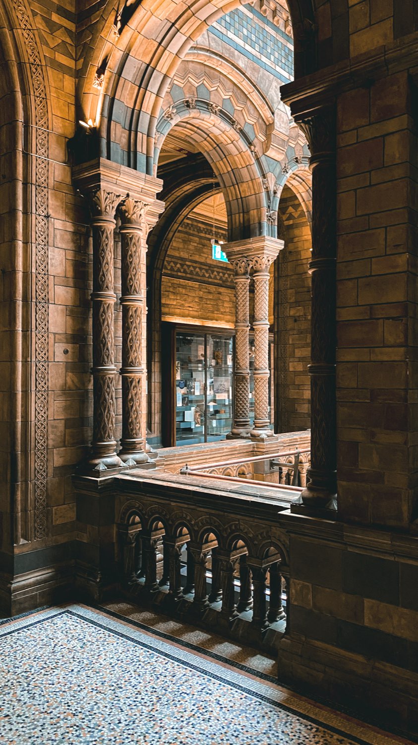 Ornate terracotta arches and carved columns inside a Victorian museum, with a mosaic floor below