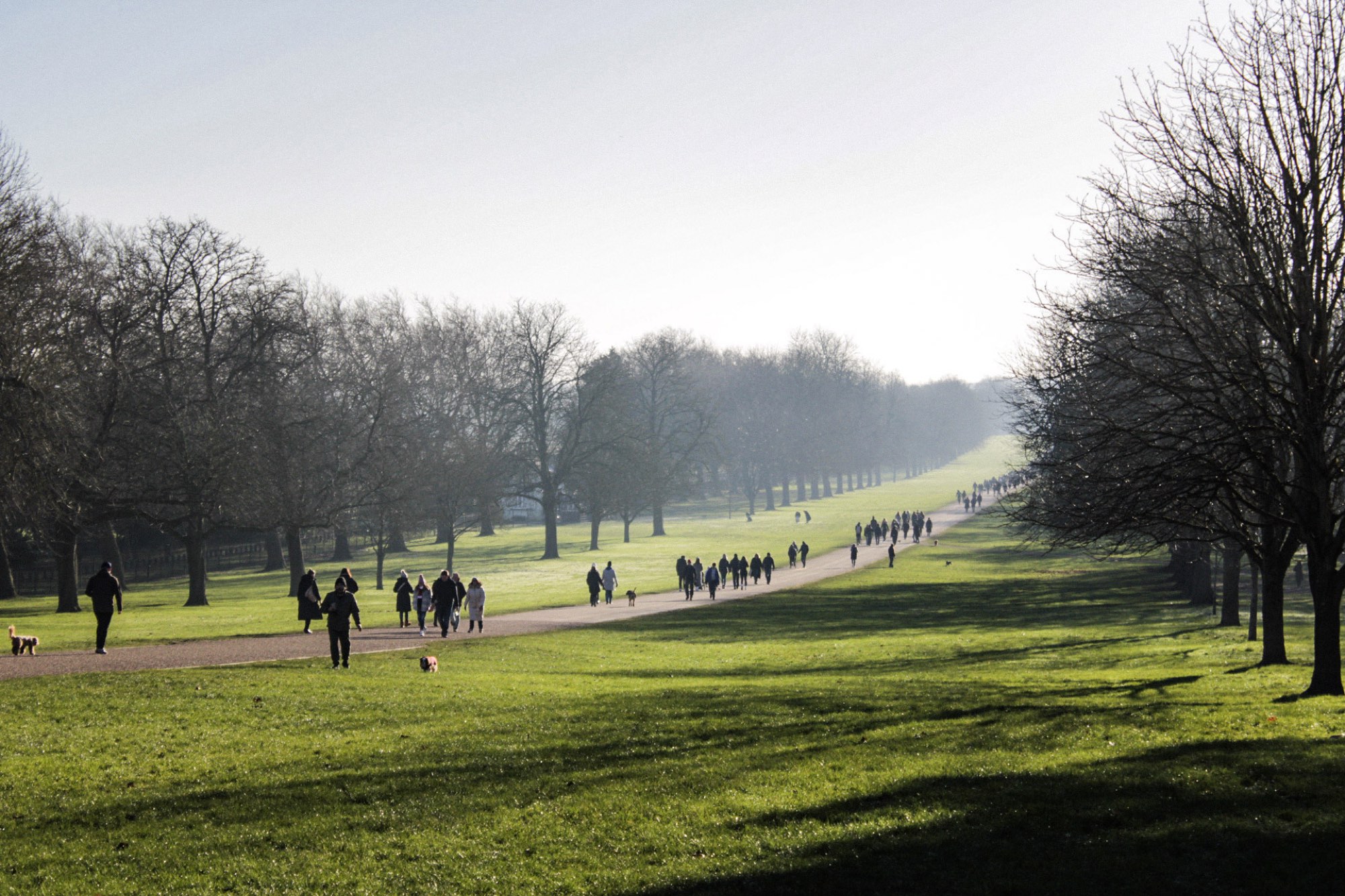 People walking along a path through a park in low winter sun, bare trees casting long shadows across the grass