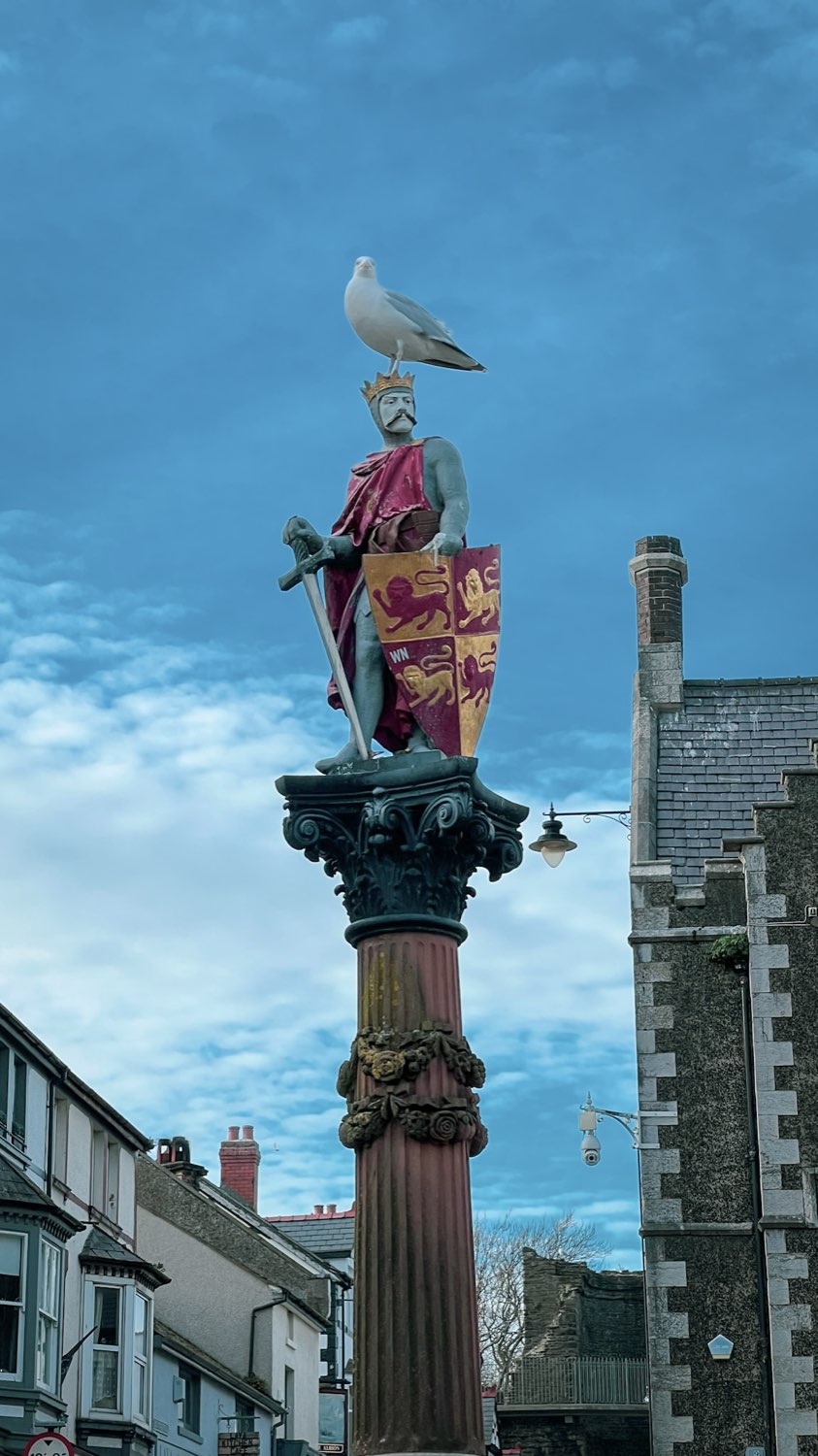 A seagull perched on the crown of a statue standing on a tall column above a town square