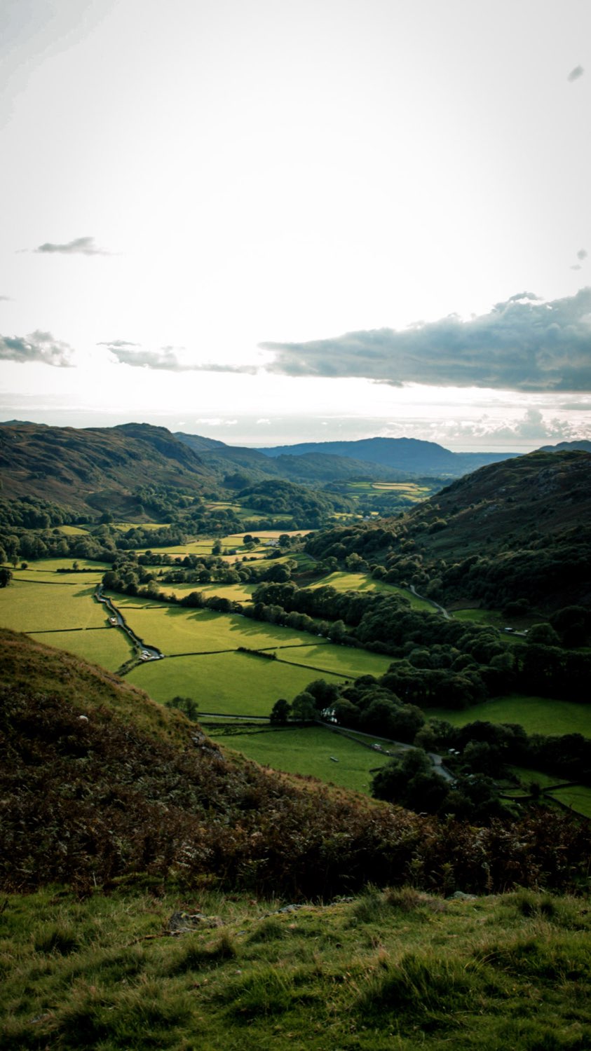 A green valley of walled fields between hills, seen from a hillside under bright cloud